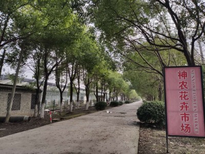 江苏神农农业有限公司土地温室招商图2
