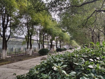 江苏神农农业有限公司土地温室招商图3